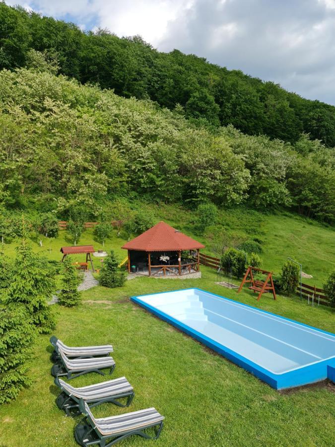 Pensiunea Castania - Pensiune Cu Piscina La Munte Polovragi Exterior foto